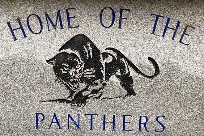 Wiley Panthers 