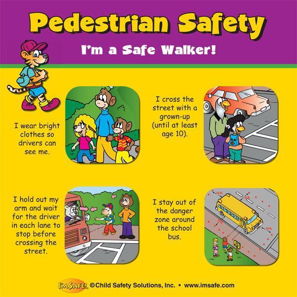 Pedestrian Safety 