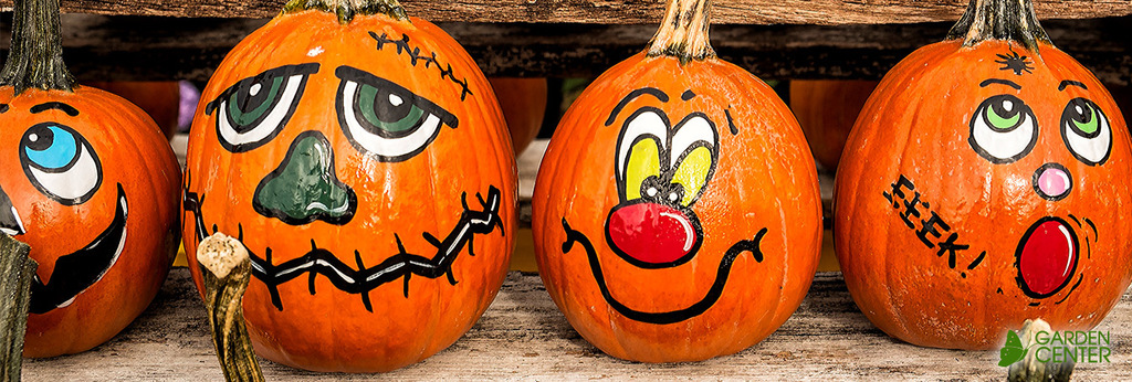 no carve decorating pumpkins 